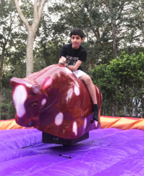 Mechanical Bull